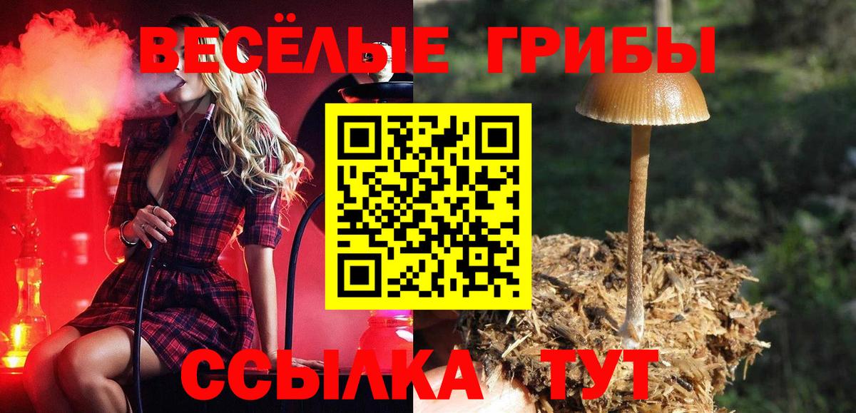 Псилоцибиновые грибы Magic Shrooms Энгельс